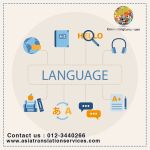 Language translation services. 
